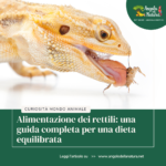 Alimentazione dei rettili: una guida completa per una dieta equilibrata