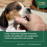 𝐂𝐨𝐦𝐞 𝐜𝐨𝐦𝐩𝐨𝐫𝐭𝐚𝐫𝐬𝐢 𝐪𝐮𝐚𝐧𝐝𝐨 𝐢𝐥 𝐜𝐮𝐜𝐜𝐢𝐨𝐥𝐨 𝐦𝐨𝐫𝐝𝐞: 𝐮𝐧𝐚 𝐠𝐮𝐢𝐝𝐚 𝐩𝐞𝐫 𝐢 𝐧𝐞𝐨-𝐩𝐫𝐨𝐩𝐫𝐢𝐞𝐭𝐚𝐫𝐢